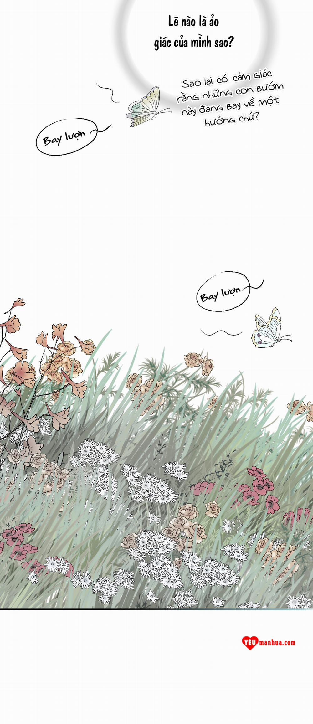 Hoa Vũ Dao 11 trang 55