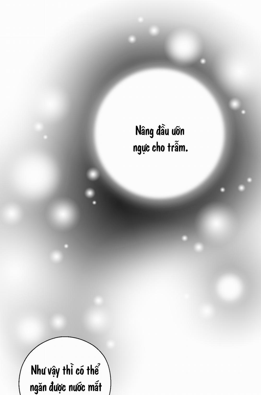 Hoa Vũ Dao 14 trang 23