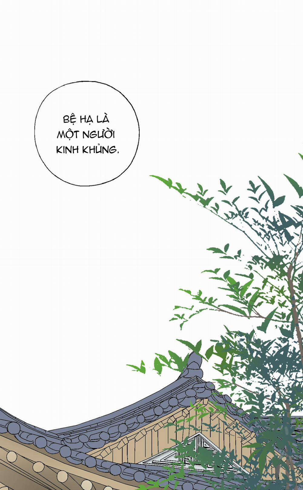 Hoa Vũ Dao 14 trang 41