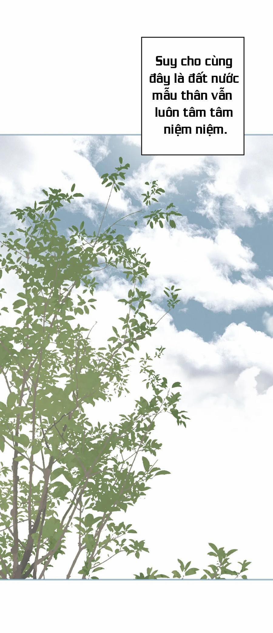 Hoa Vũ Dao 16 trang 56