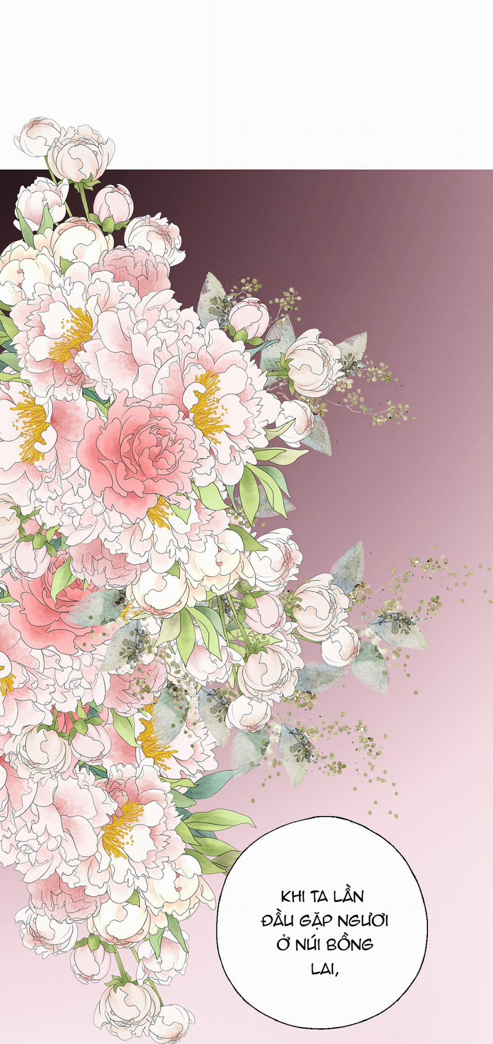 Hoa Vũ Dao 18 trang 43