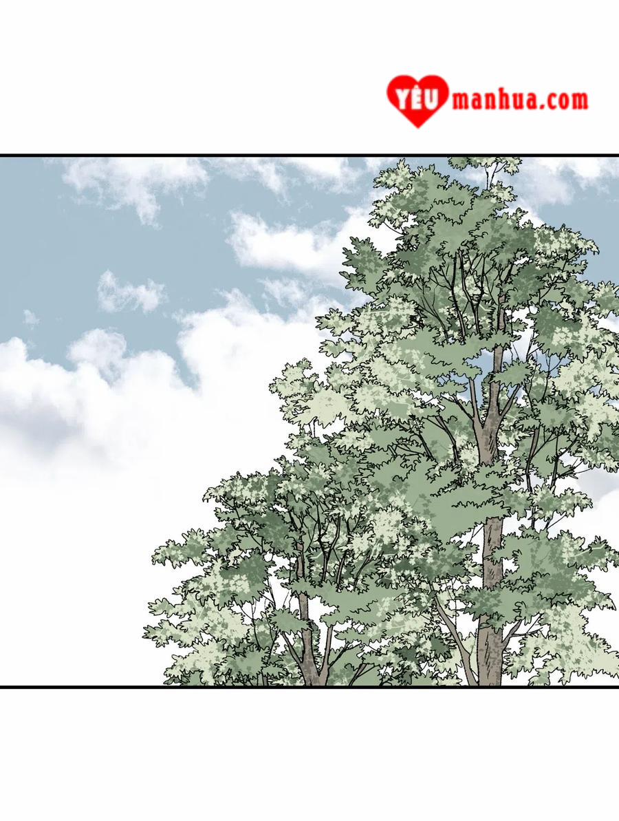 Hoa Vũ Dao 22 trang 31