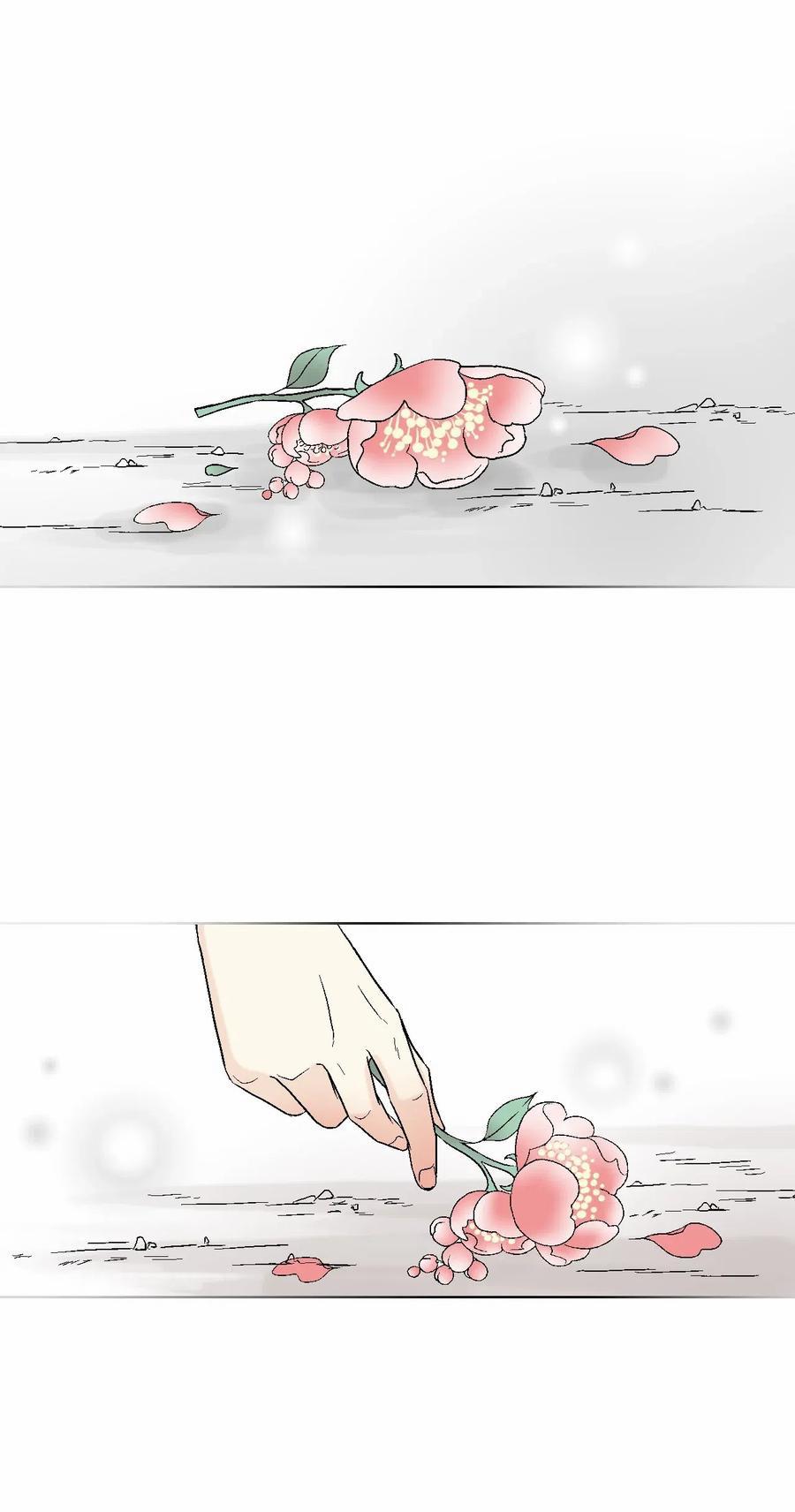 Hoa Vũ Dao 26 trang 48