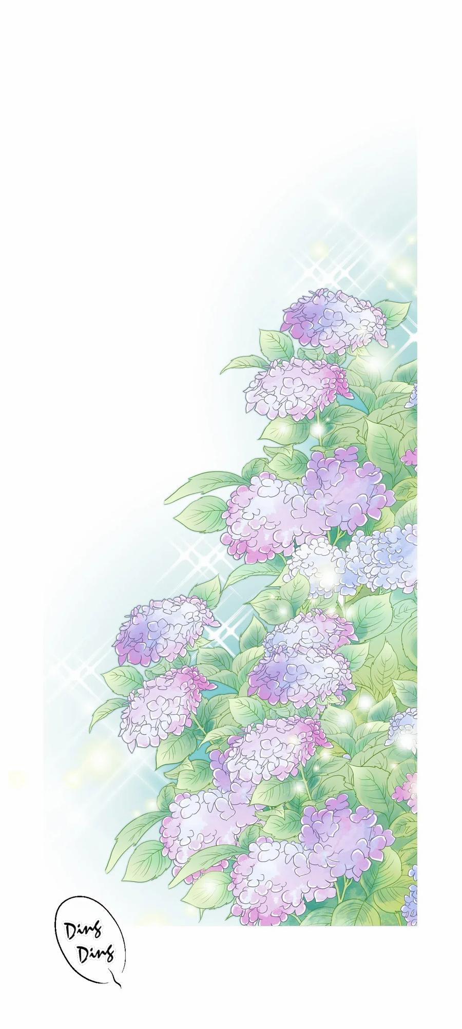 Hoa Vũ Dao 27 trang 14