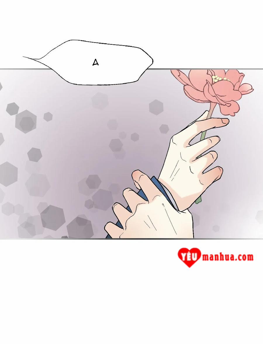 Hoa Vũ Dao 28 trang 36