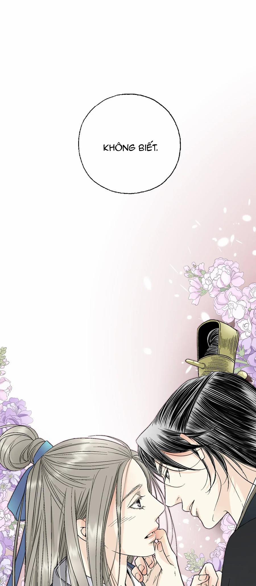 Hoa Vũ Dao 28 trang 42