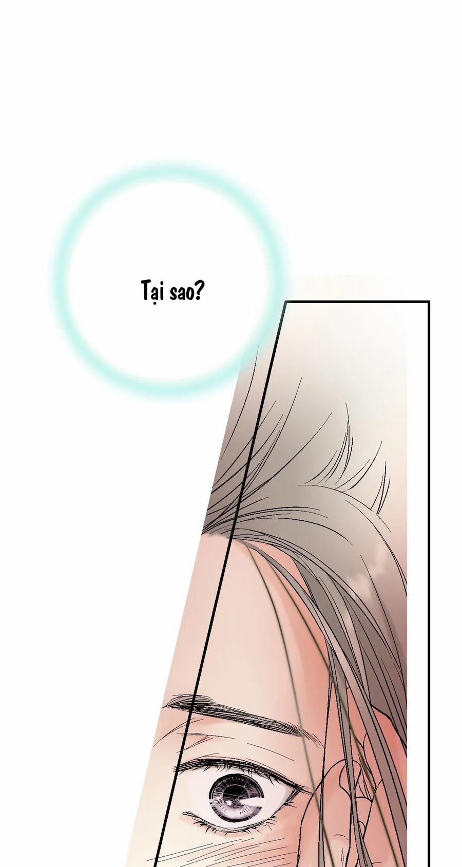 Hoa Vũ Dao 28 trang 47