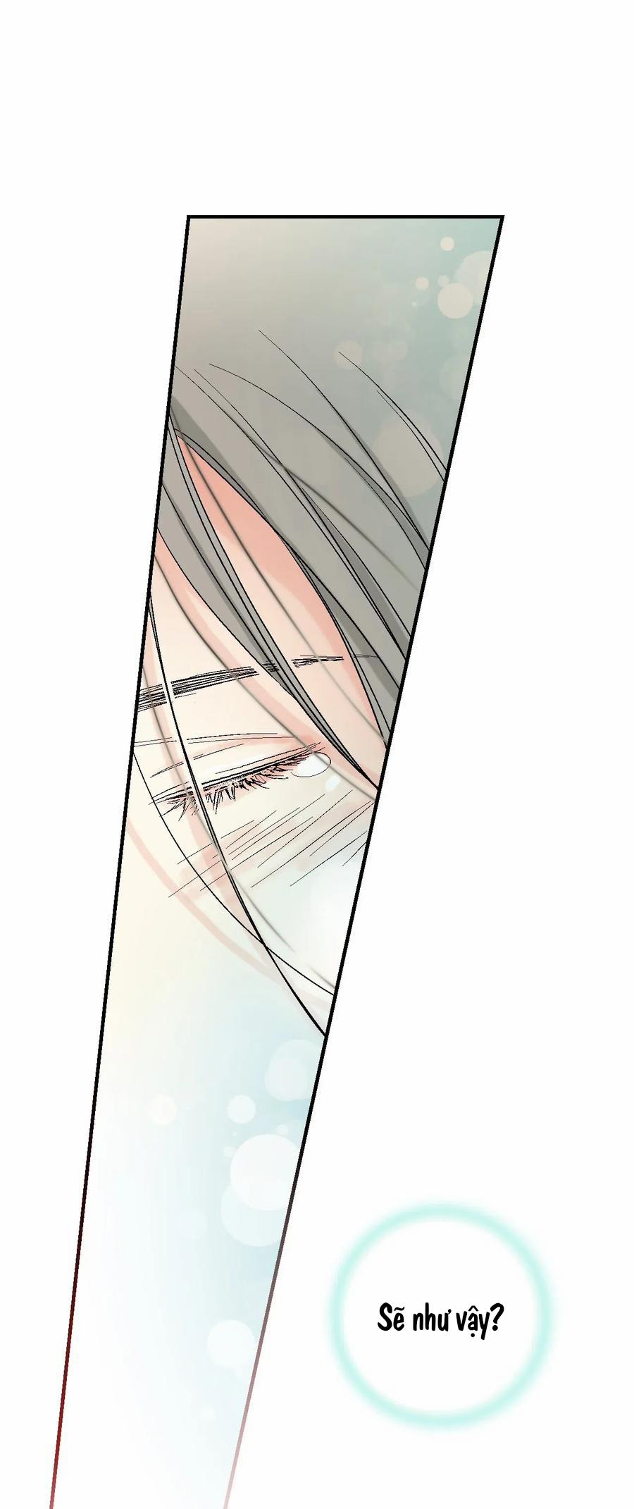 Hoa Vũ Dao 28 trang 52