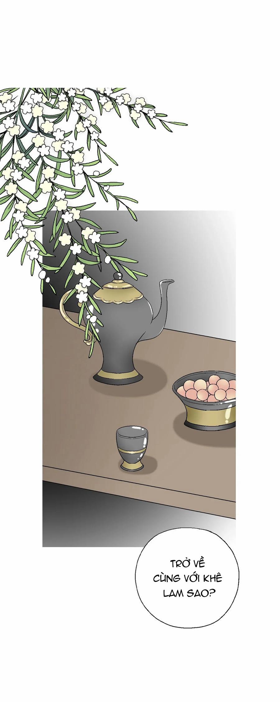 Hoa Vũ Dao 30 trang 2