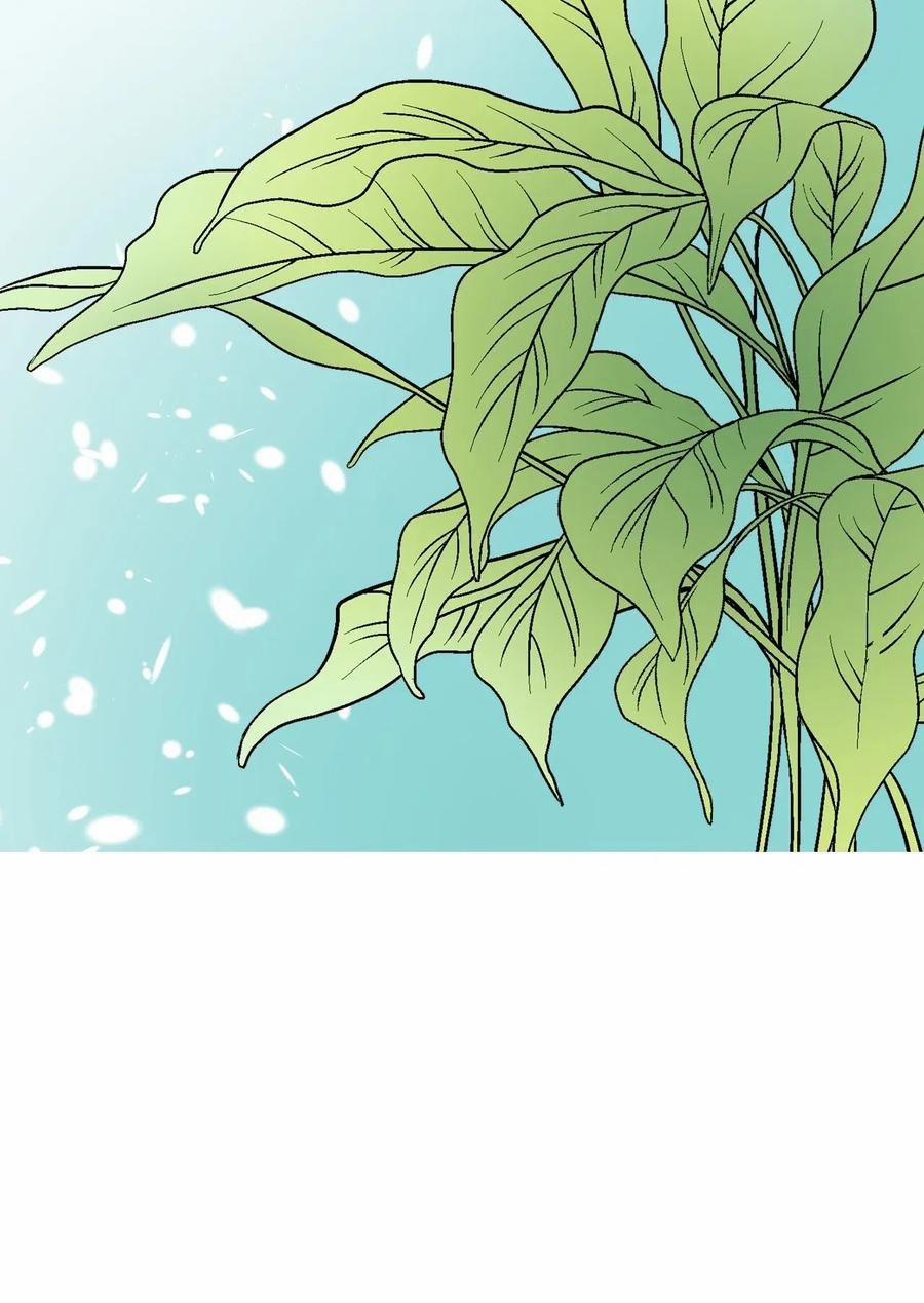 Hoa Vũ Dao 33 trang 44