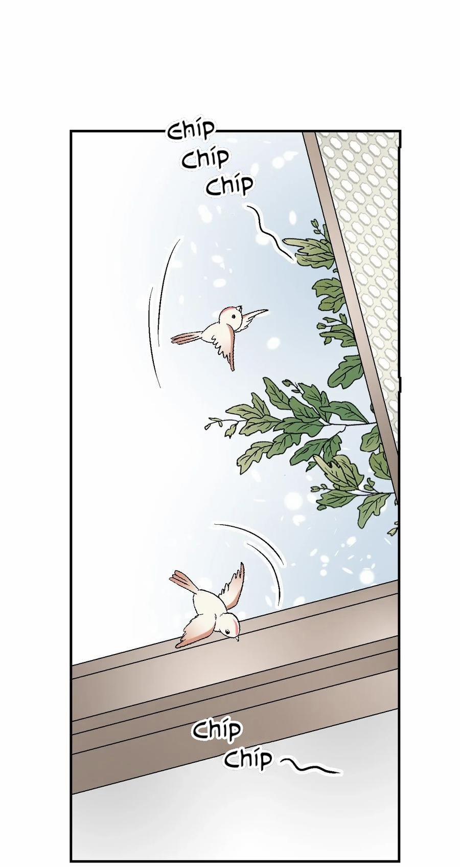 Hoa Vũ Dao 33 trang 9