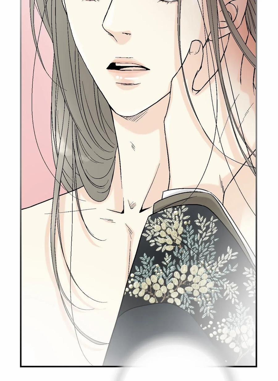 Hoa Vũ Dao 37 trang 45