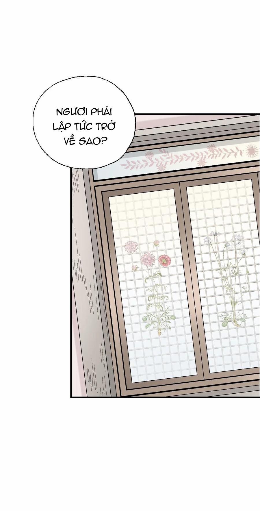 Hoa Vũ Dao 38 trang 4