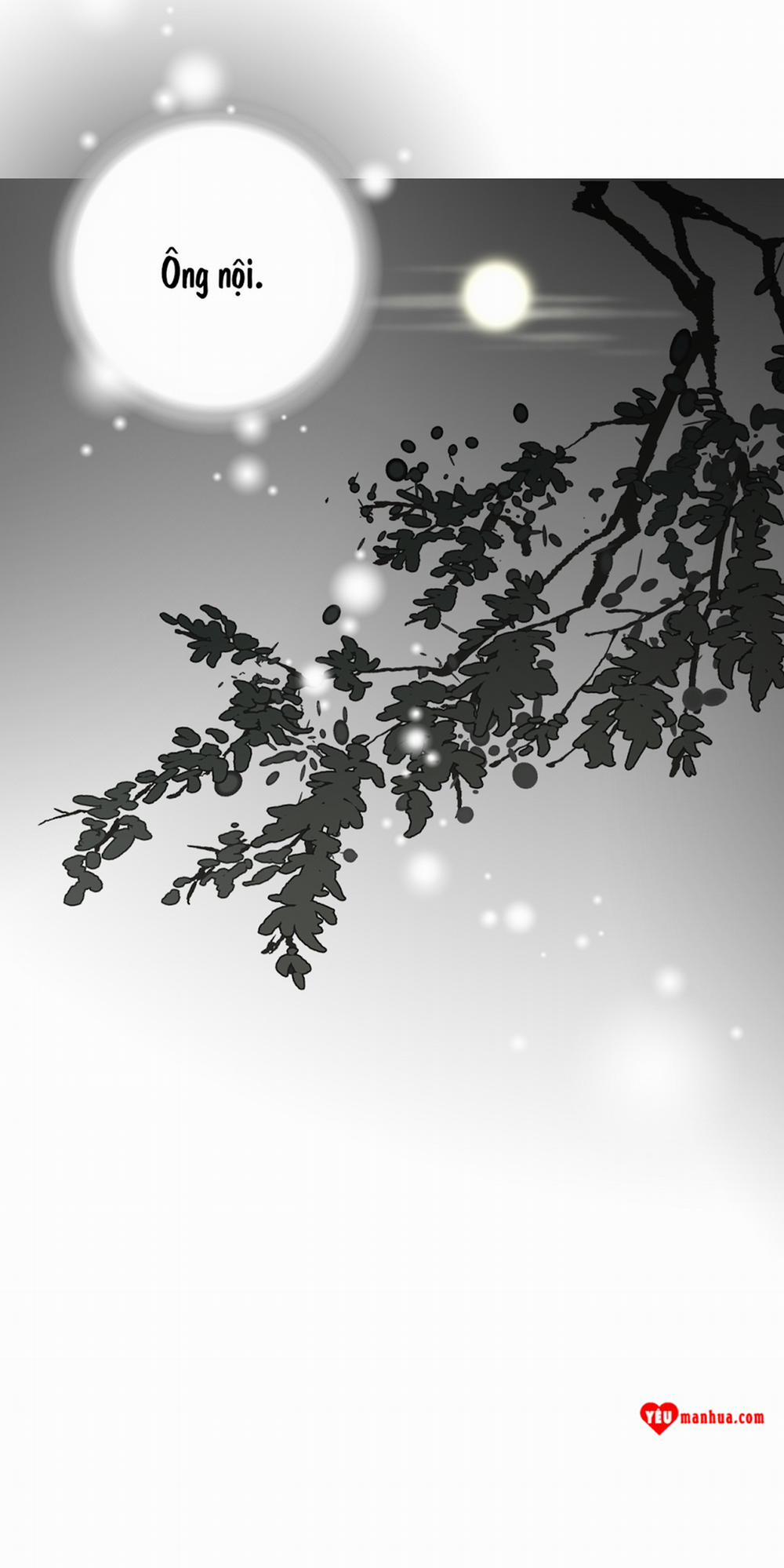 Hoa Vũ Dao 4 trang 11