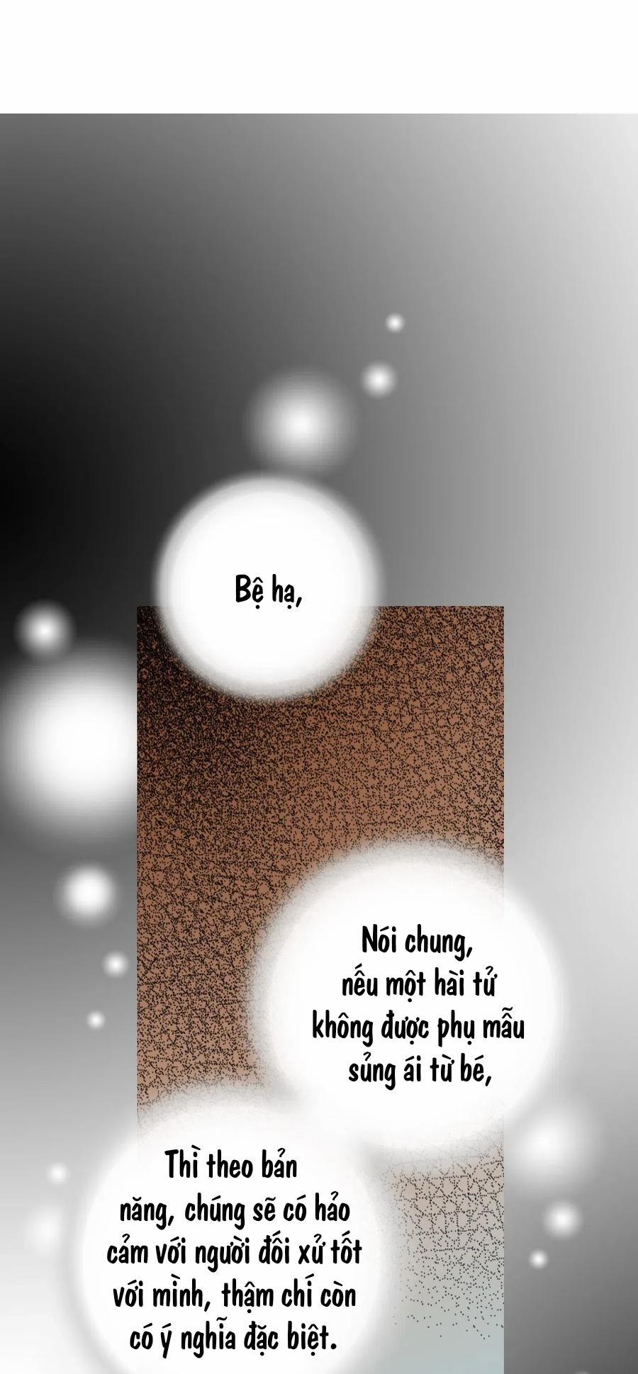 Hoa Vũ Dao 41 trang 42