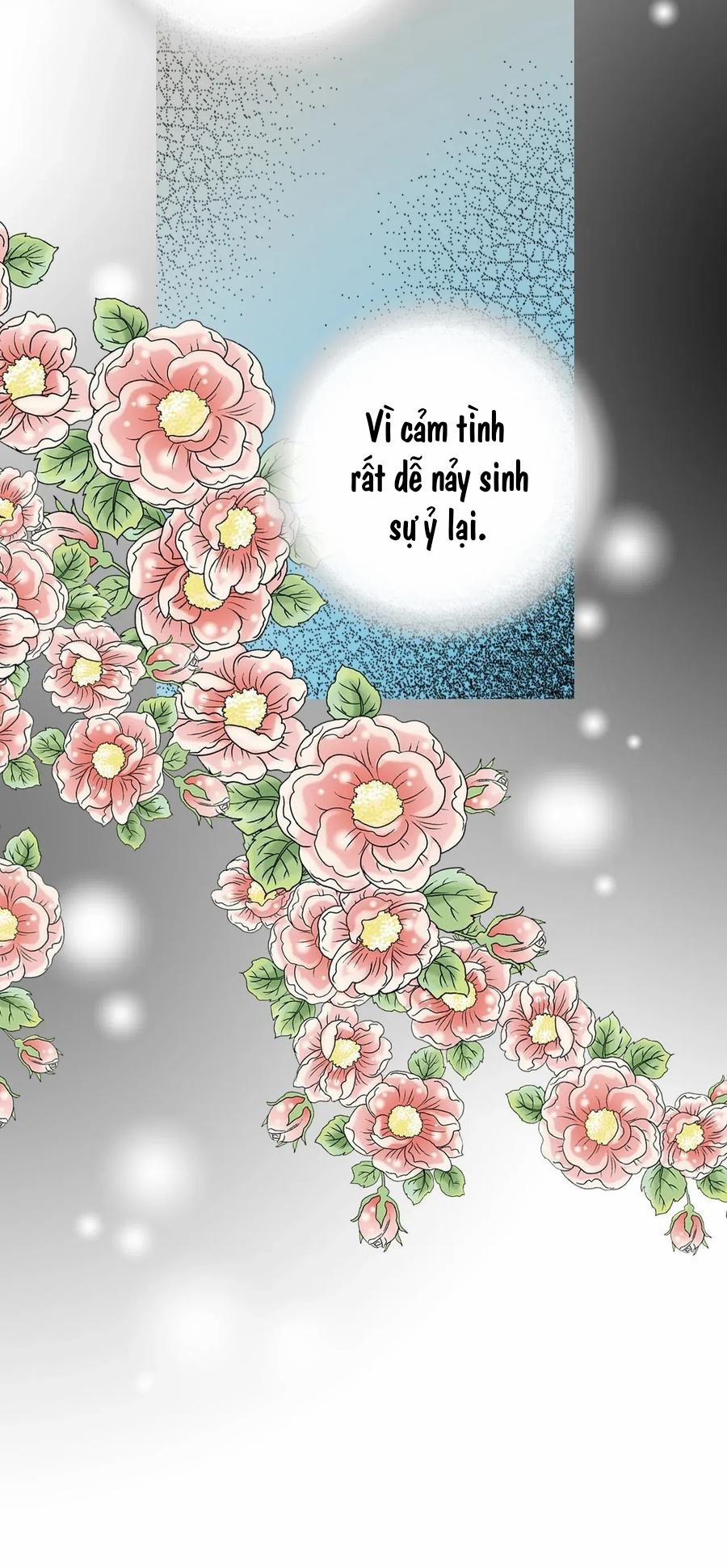 Hoa Vũ Dao 41 trang 43
