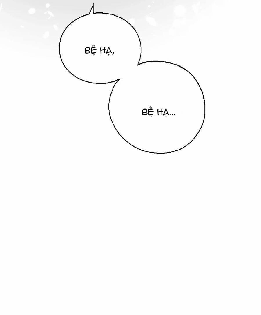 Hoa Vũ Dao 41 trang 61