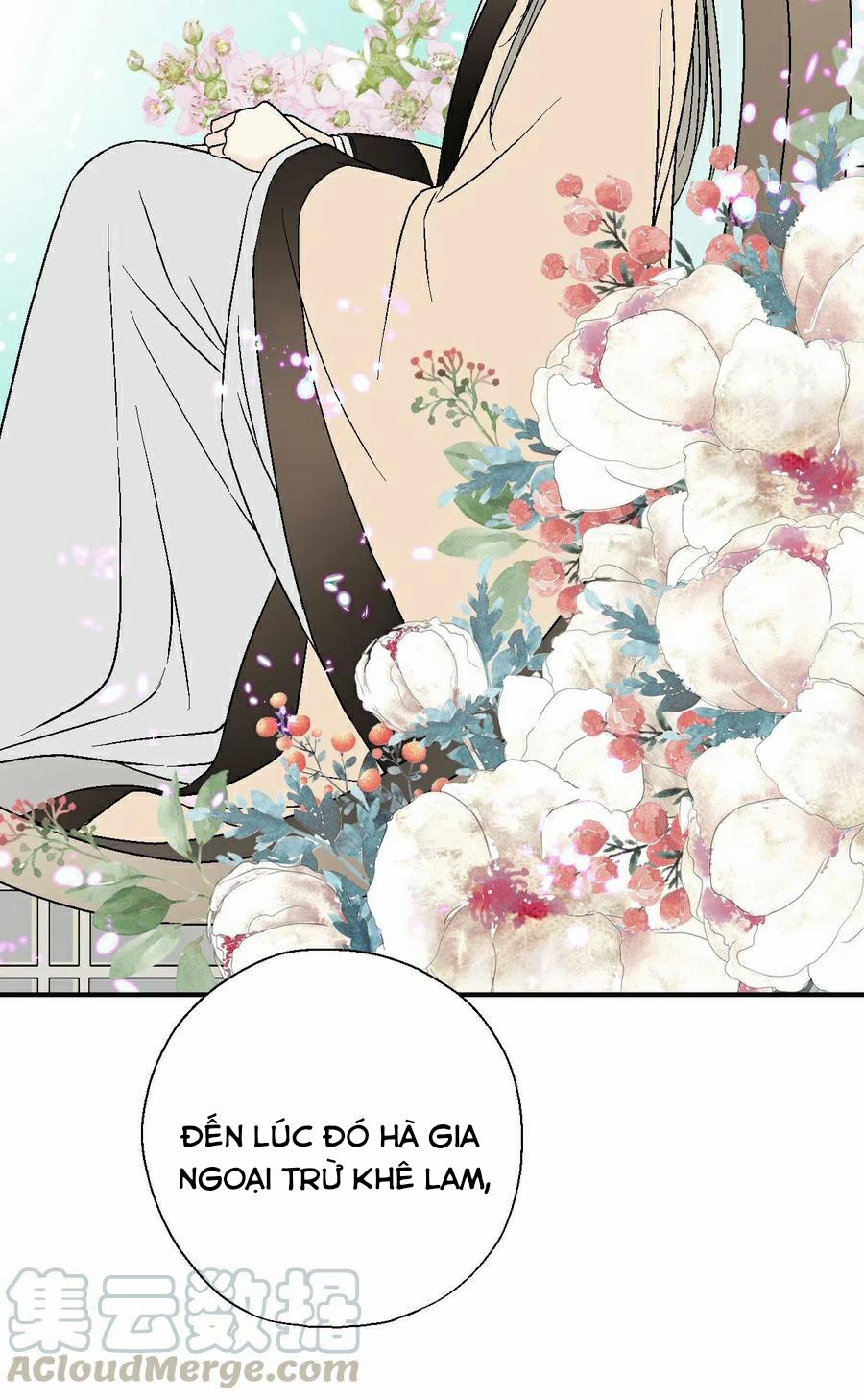 Hoa Vũ Dao 48 trang 40
