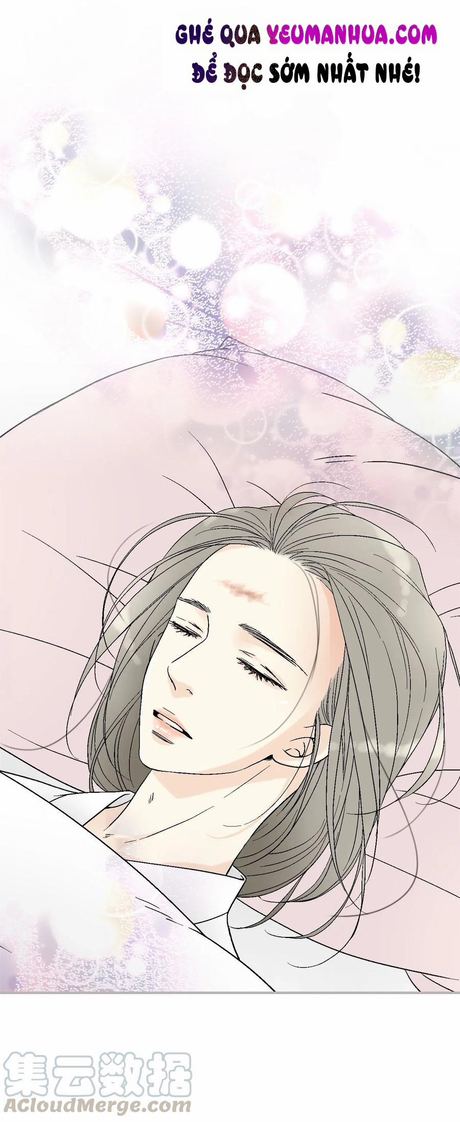 Hoa Vũ Dao 49 trang 0