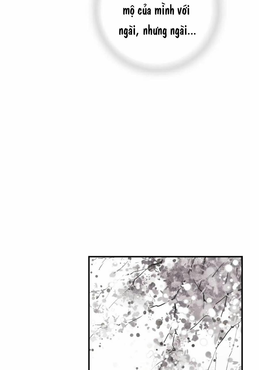 Hoa Vũ Dao 49 trang 17