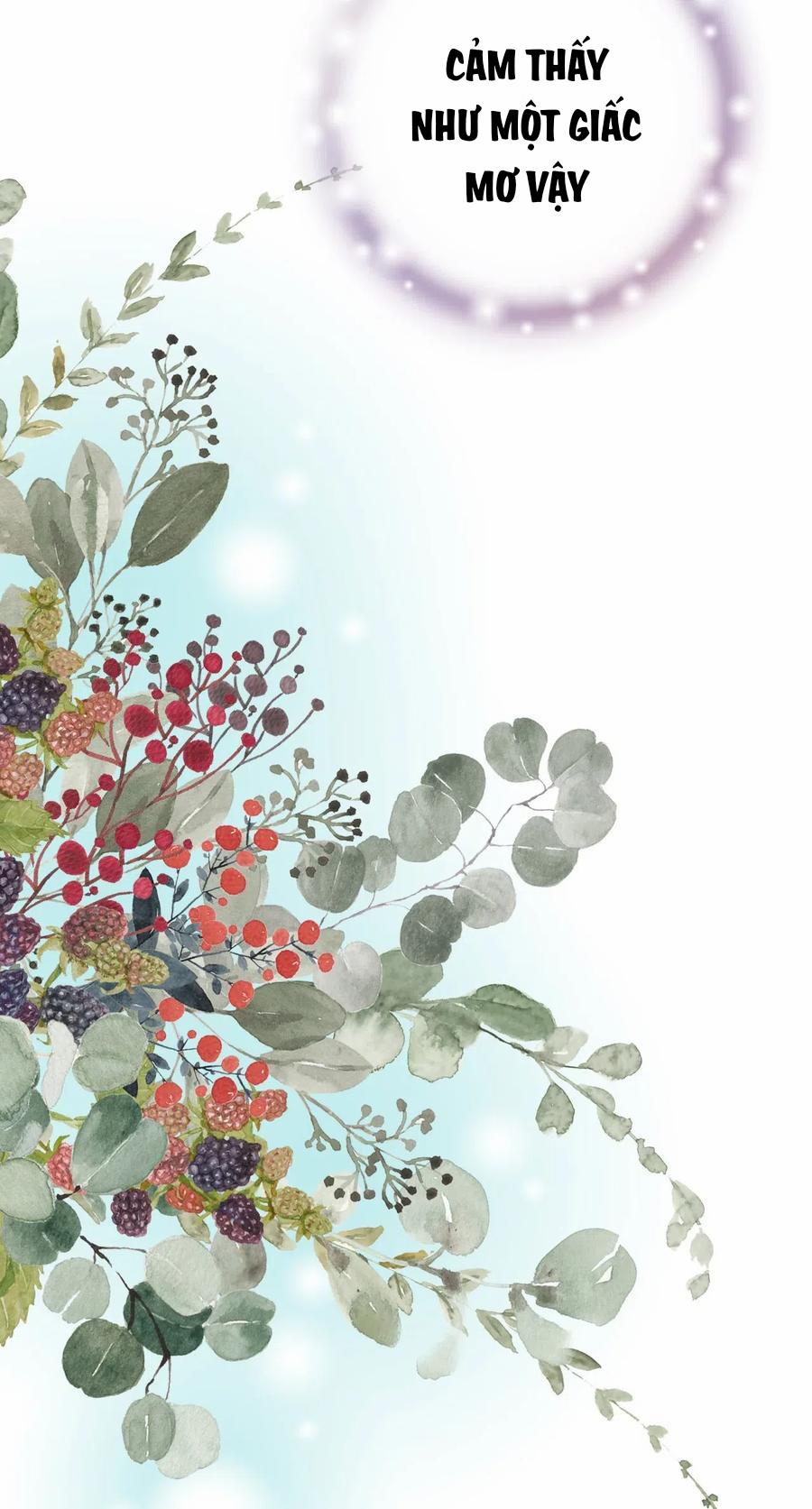 Hoa Vũ Dao 49 trang 23