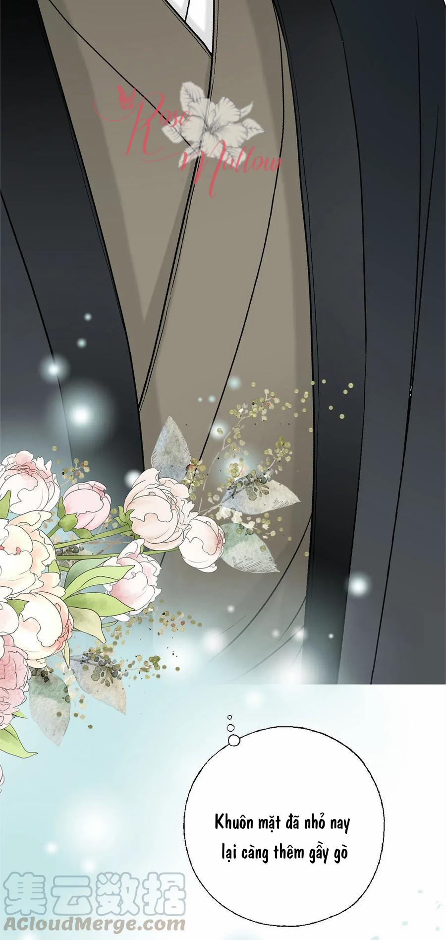 Hoa Vũ Dao 50 trang 20