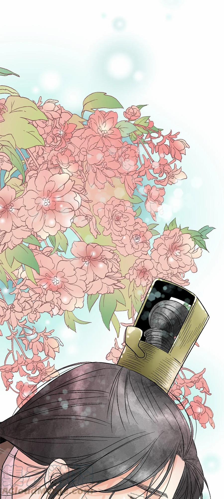 Hoa Vũ Dao 51 trang 0