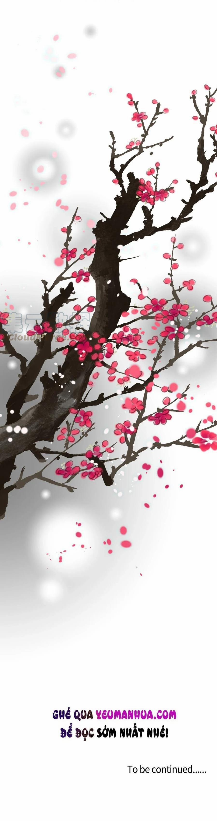 Hoa Vũ Dao 54 trang 36