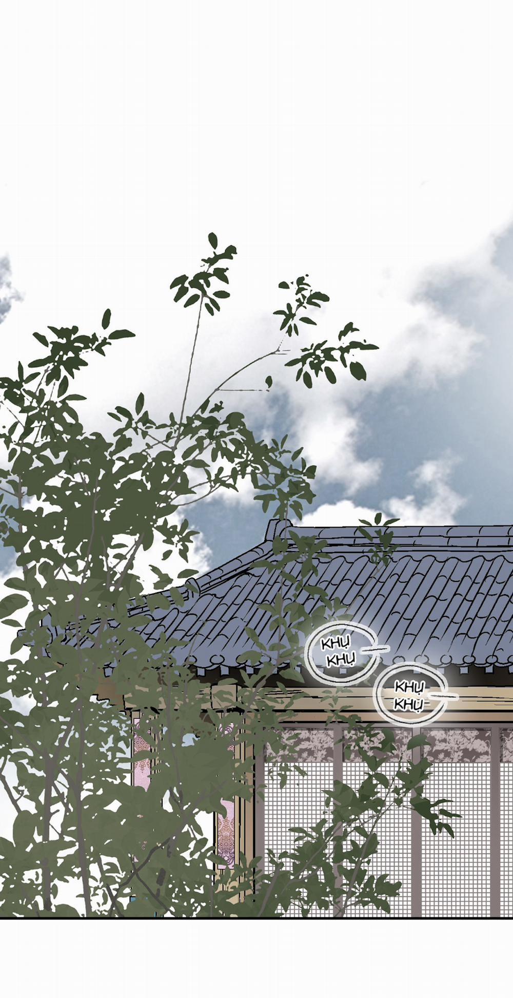 Hoa Vũ Dao 6 trang 29