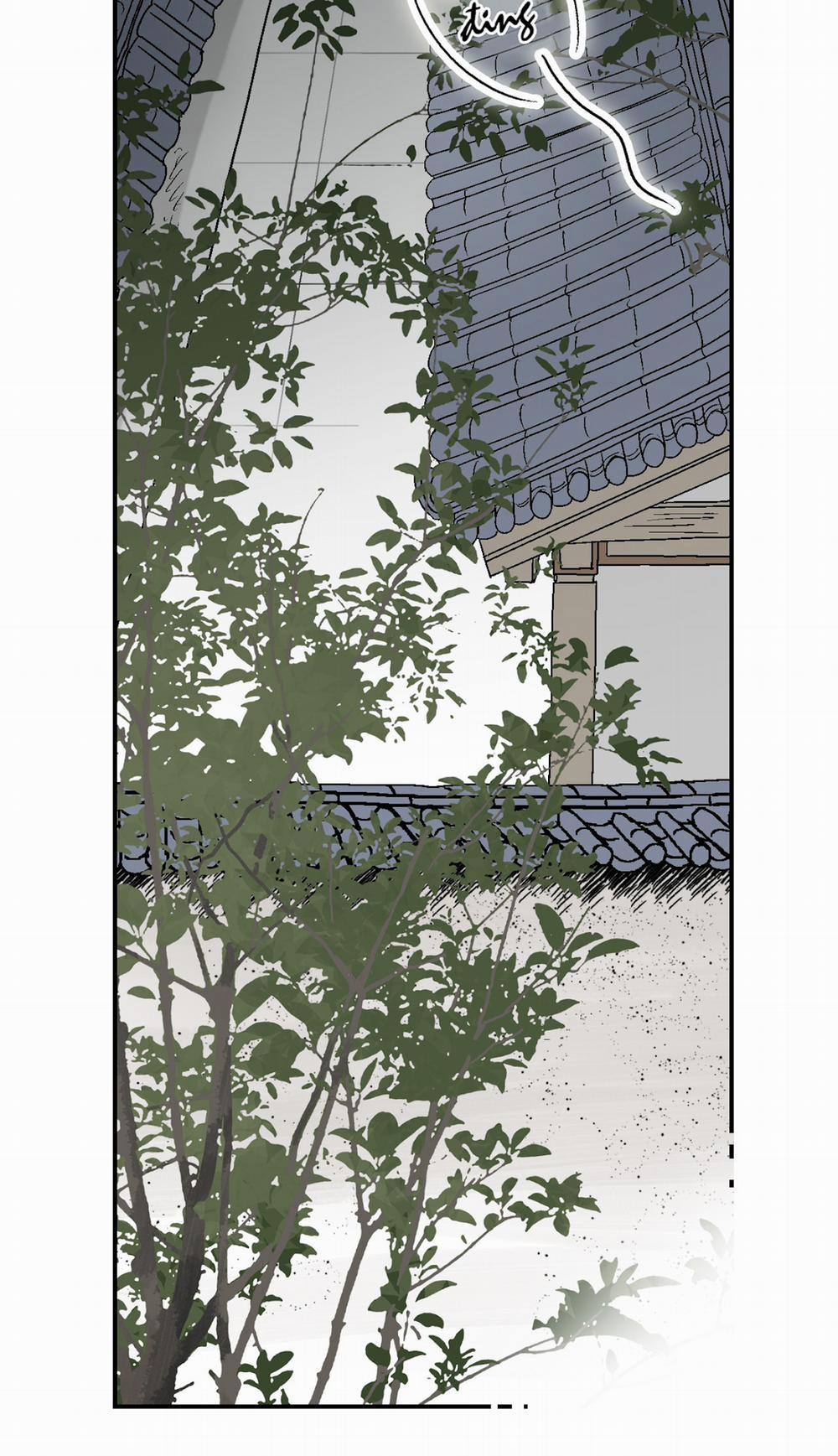 Hoa Vũ Dao 6 trang 56