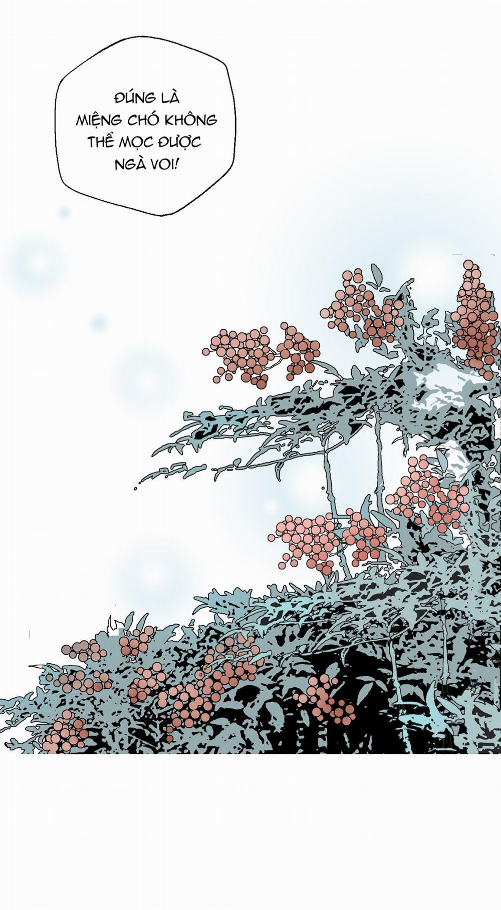 Hoa Vũ Dao 7 trang 46