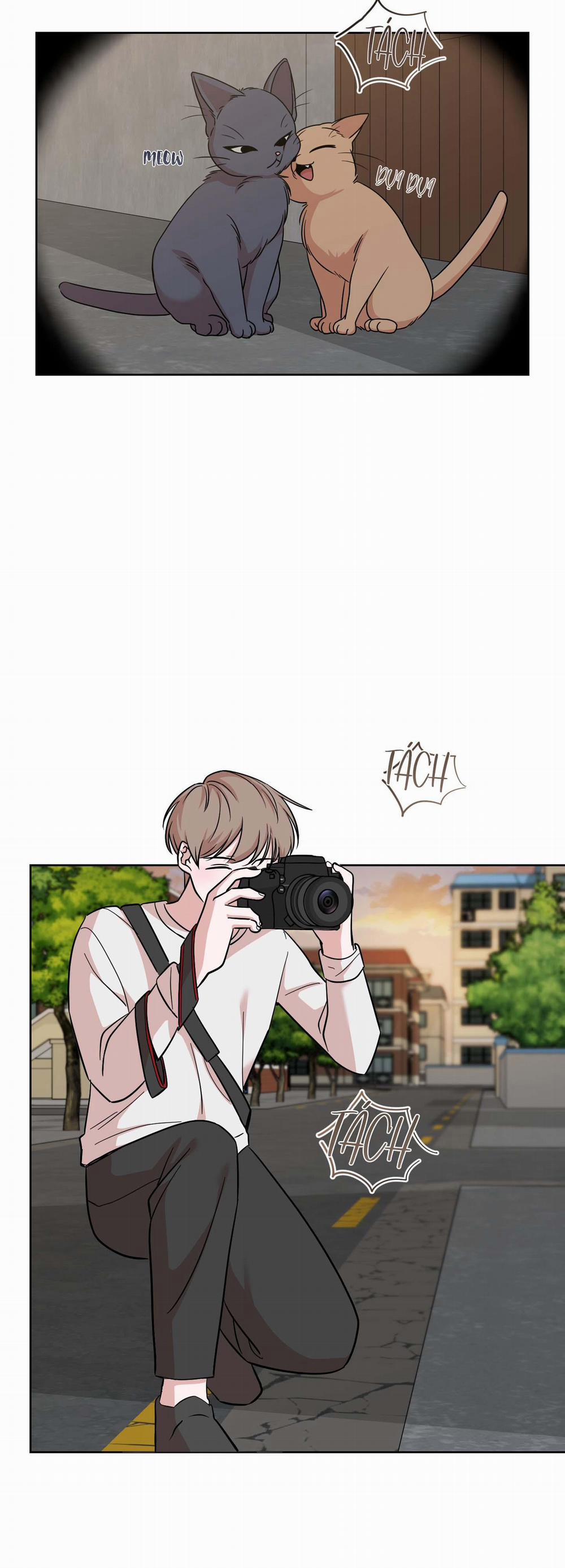 Hoàn Cảnh Không Thể Tránh 5 trang 16