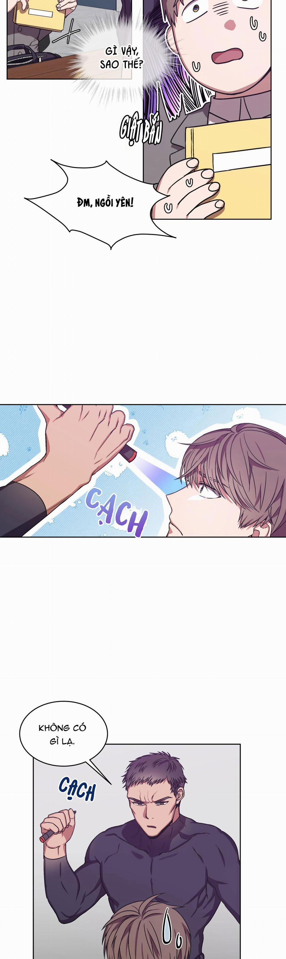 Hoàn Hảo 5 trang 11