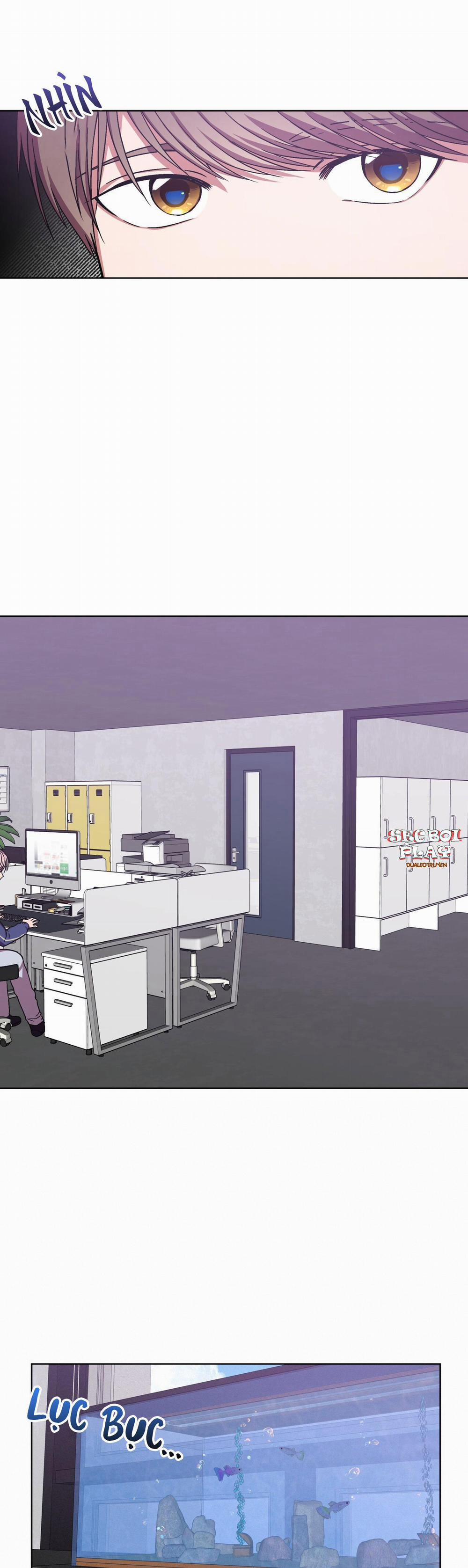 Hoàn Hảo 5 trang 4