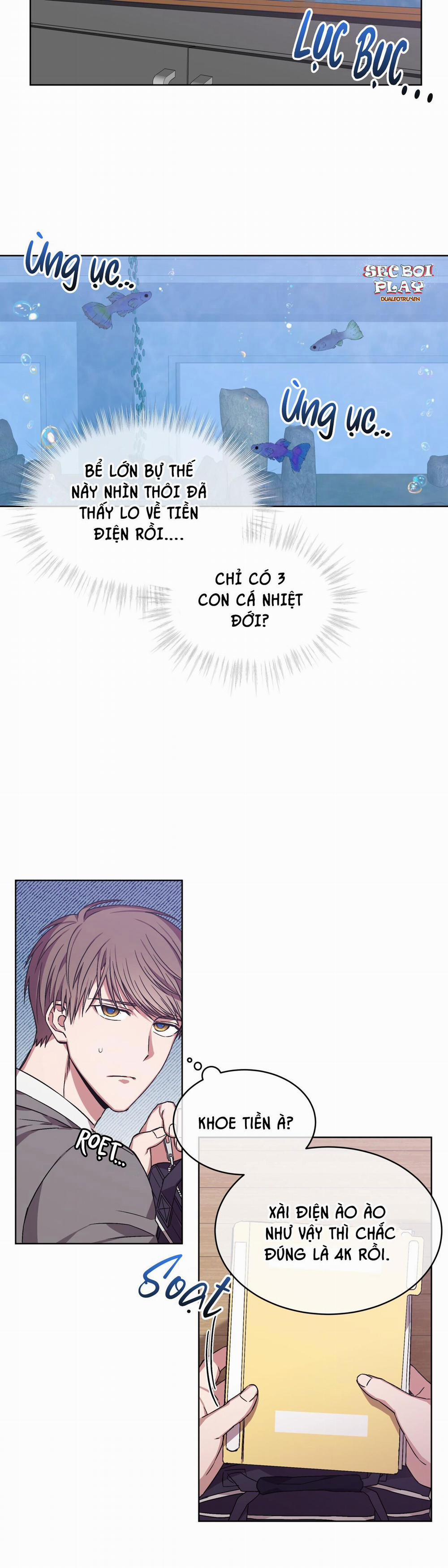 Hoàn Hảo 5 trang 5