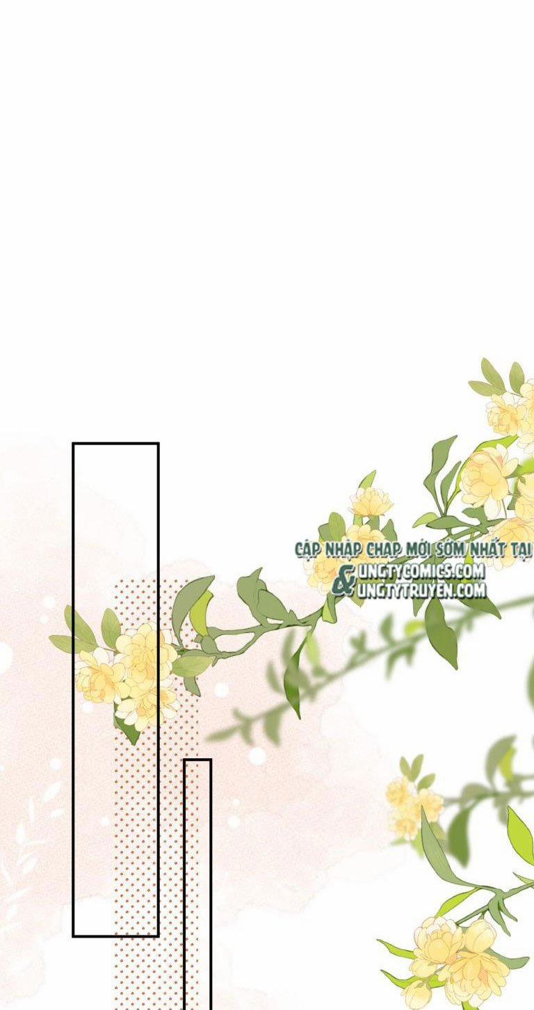 Hoàn Mỹ Vô Khuyết 5 trang 15