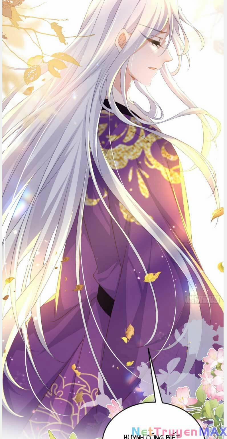 Hoạn Phi Thiên Hạ 358 trang 10