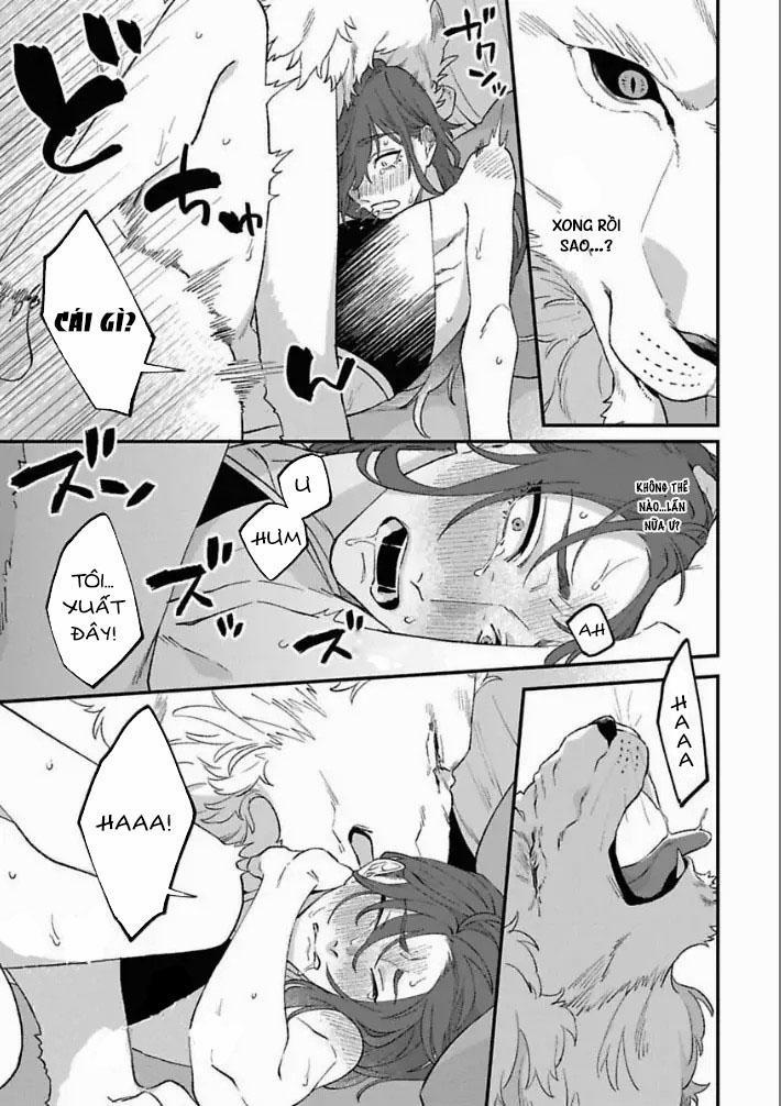 [HOÀN] Shishi Ni Odoroko 4 0 4 trang 20