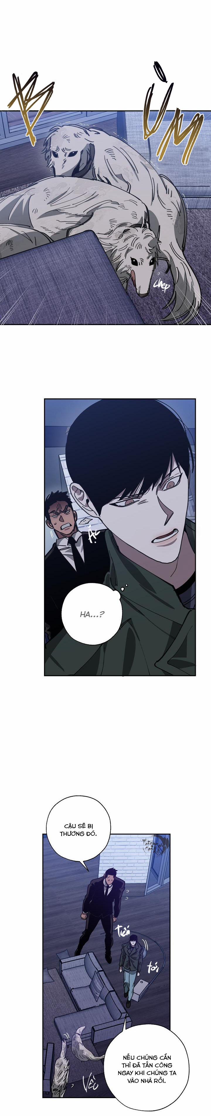 Hoán Vị 53 trang 13