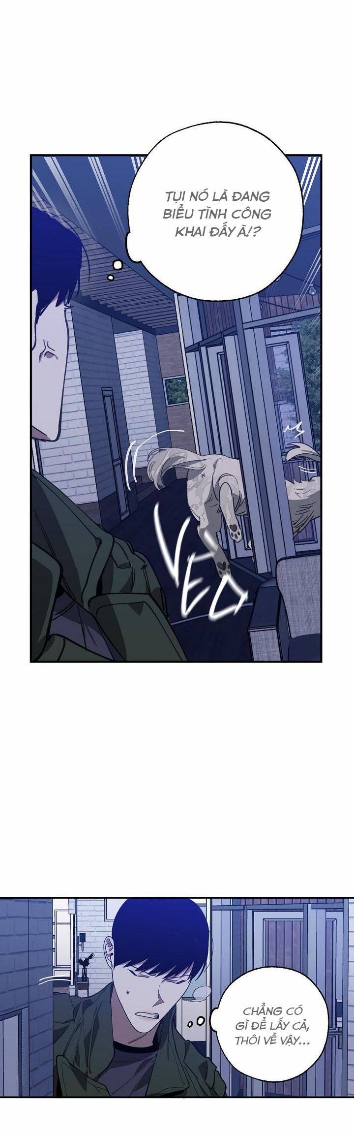 Hoán Vị 53 trang 20