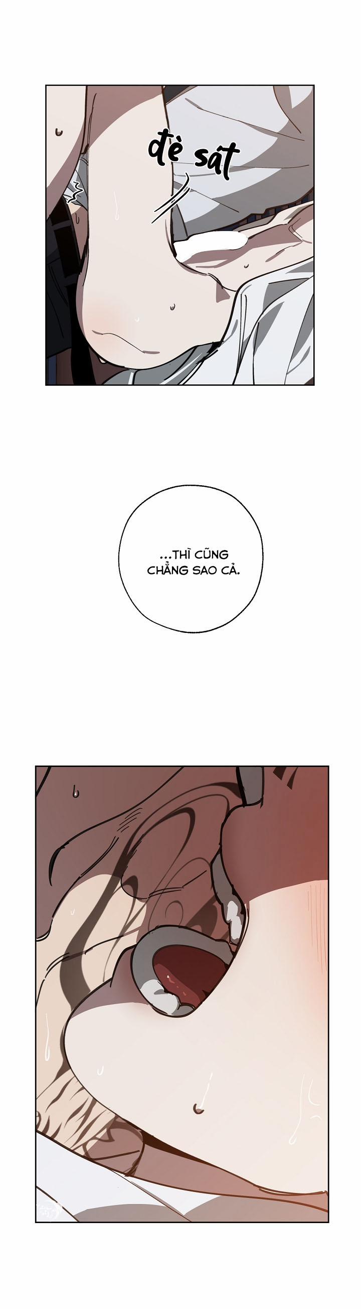 Hoán Vị 54 trang 25