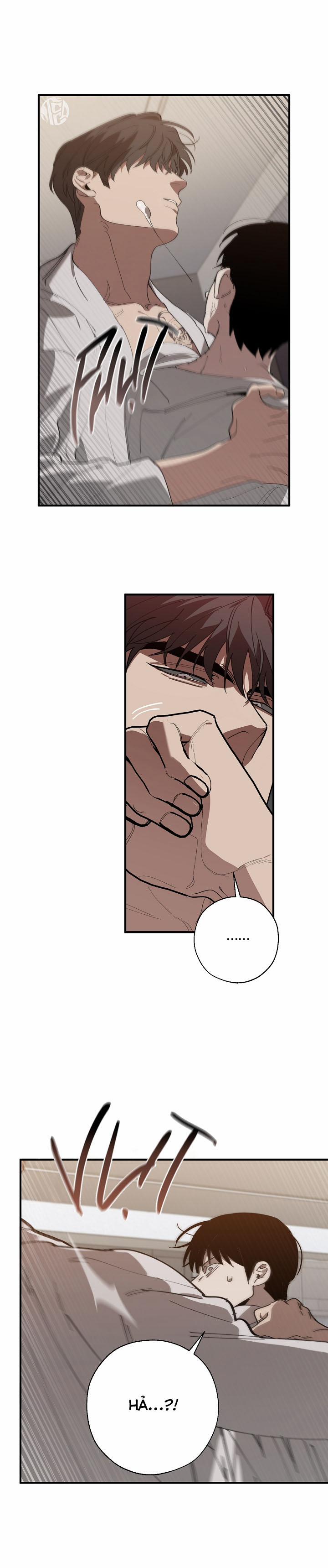 Hoán Vị 63 trang 13