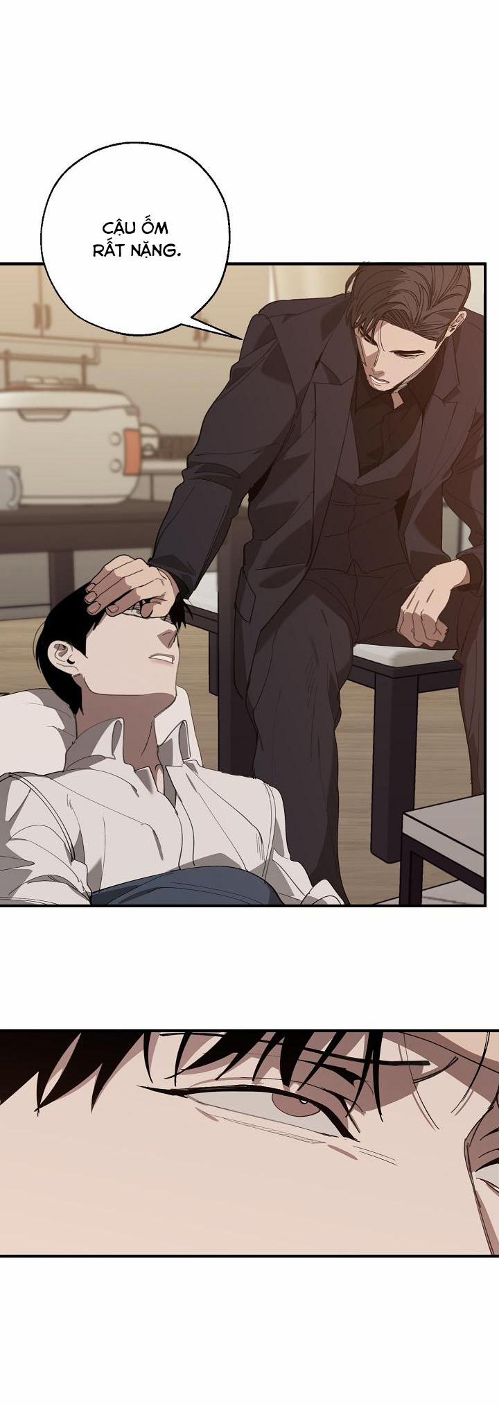 Hoán Vị 64 trang 19