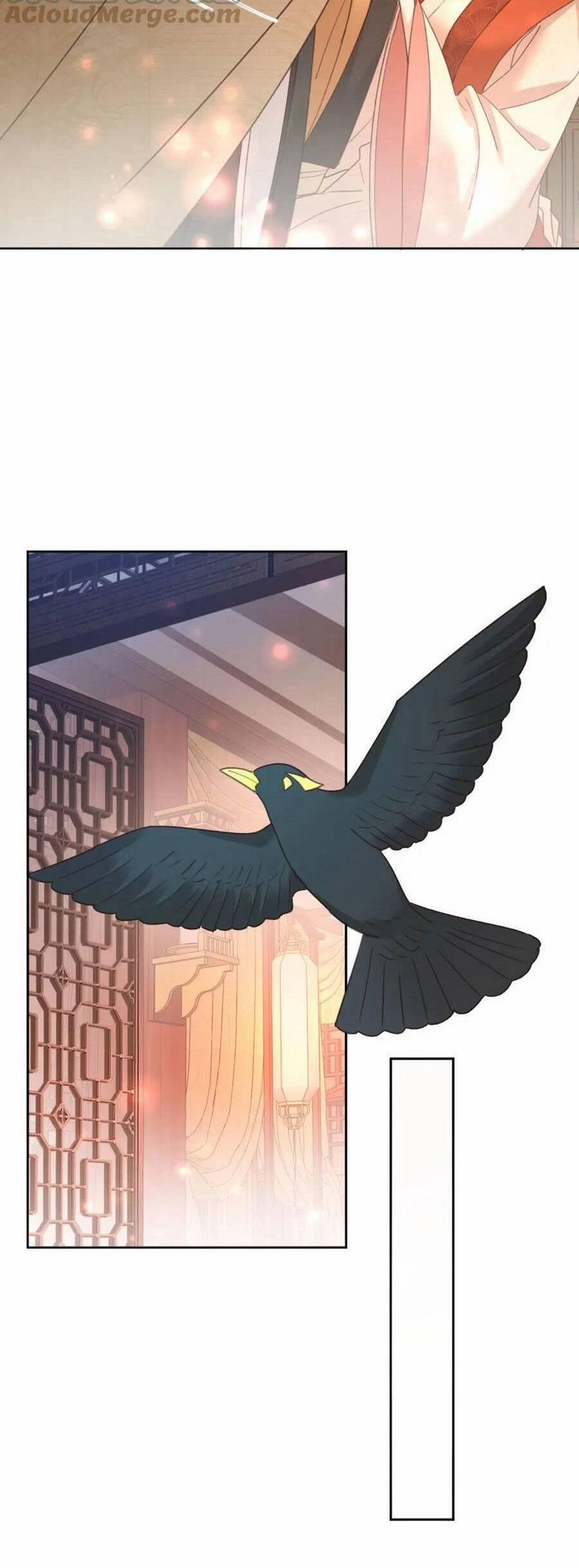 Hoàng Hậu Vô Đức 91 trang 21