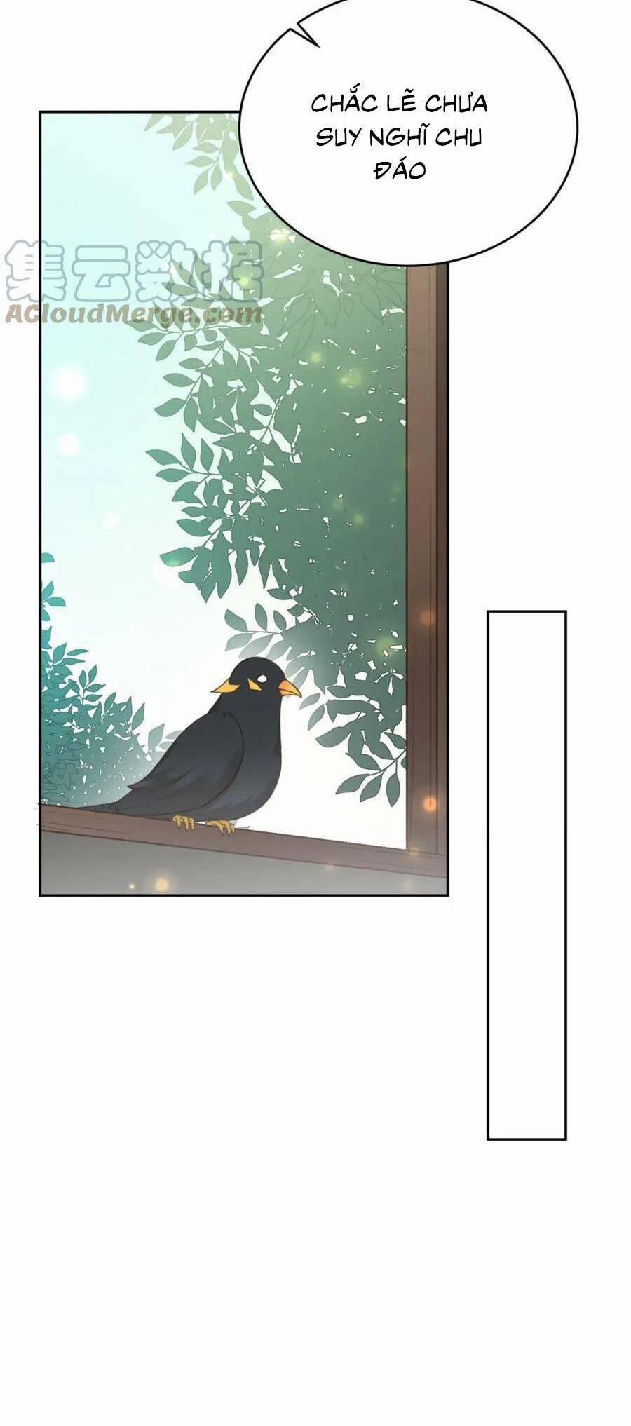 Hoàng Hậu Vô Đức 92.1 trang 19