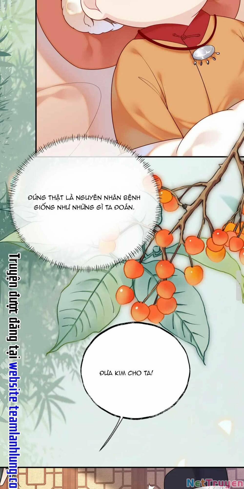 Hoàng Thúc Sủng Ta Đến Tận Xương 7 trang 13