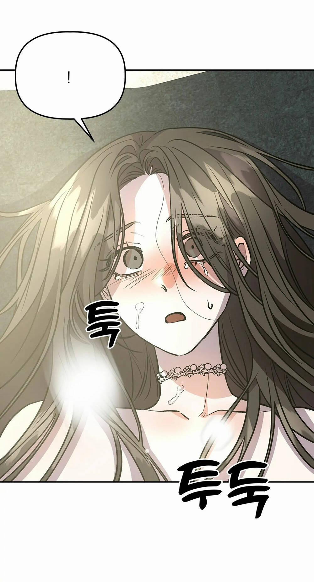 Hoàng Tử Bạch Tuyết Đã Bị Hoàng Hậu Bắt Đi 12 trang 1