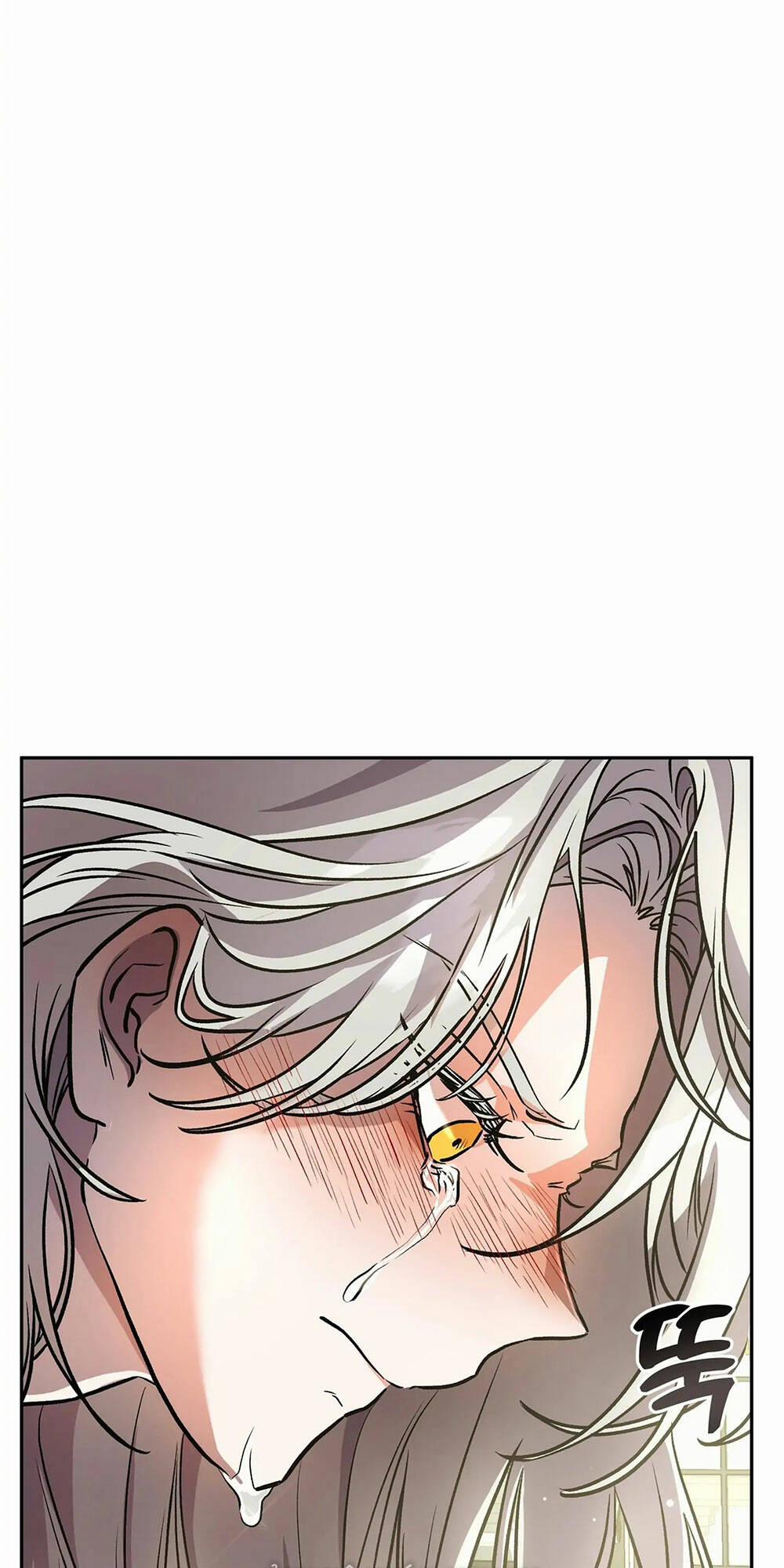 Hoàng Tử Bạch Tuyết Đã Bị Hoàng Hậu Bắt Đi 12 trang 2