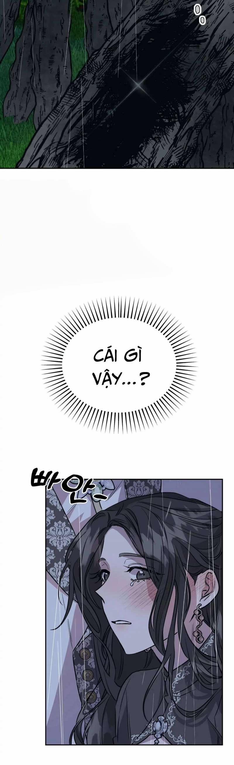 Hoàng Tử Bạch Tuyết Đã Bị Hoàng Hậu Bắt Đi 19 trang 38