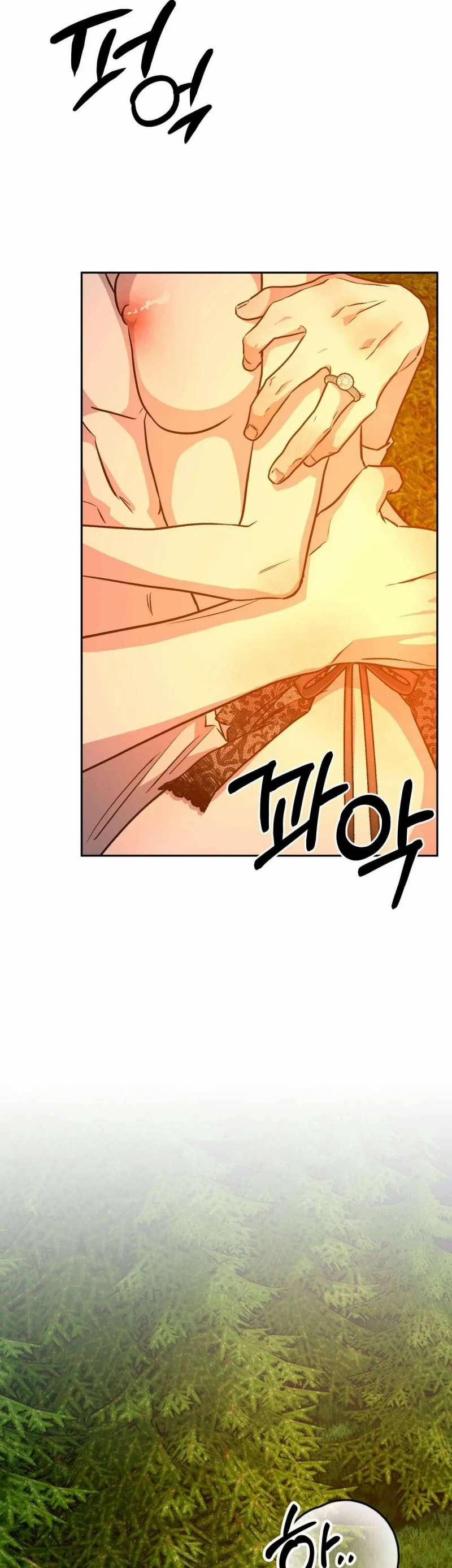 Hoàng Tử Bạch Tuyết Đã Bị Hoàng Hậu Bắt Đi 20 trang 25